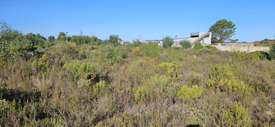 0 Bedroom Property for Sale in Franskraal Western Cape